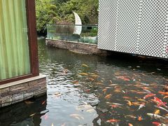 -西江印象酒楼
