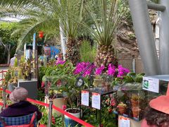 -北京植物园-展览温室