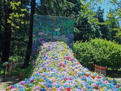 -上海共青森林公园