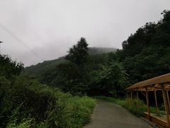 -九龙潭景区