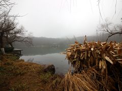 -紫霞湖公园