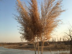 -祥阁食府妈妈菜