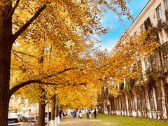 -辽宁大学(崇山校区)