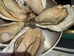 -蚝堡海鲜·威海菜·海肠捞饭·烧烤·亚洲吃蚝公司(幸福门店)