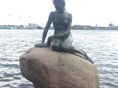 -美人鱼
