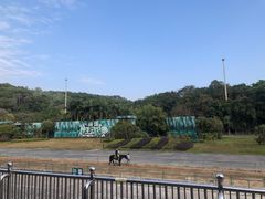-深圳野生动物园