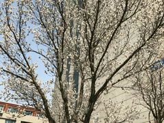 -哈尔滨商业大学(南校区)