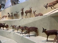 -武汉园博园(武汉自然博物馆)