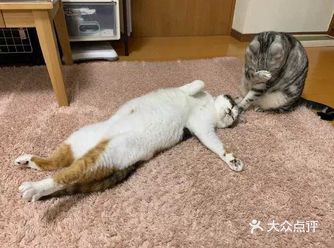 图一图二:啊，小花怎么回事啊