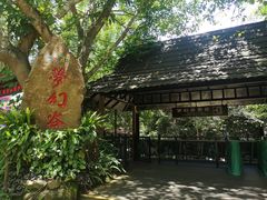 -呀诺达热带雨林