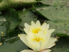 -前关湿地公园