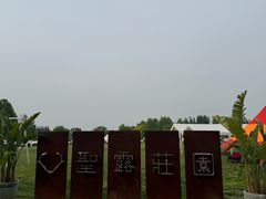-圣露庄园·露营·烤肉·亲子