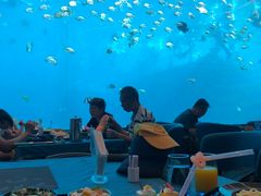 -瑞德姆美人鱼海底演艺主题餐厅(亚龙湾店)