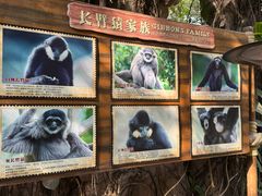 -长鹿旅游休博园