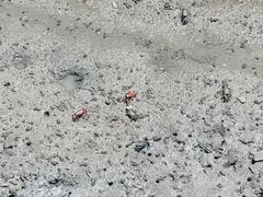 -北海金海湾红树林生态旅游区