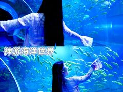 -威海华夏城景区