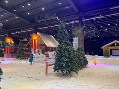 -宁波冰雪大世界(北仑区)