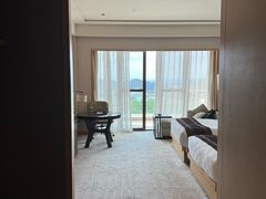 -河源万绿湖美思威尔顿酒店