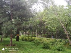 -北极寺公园