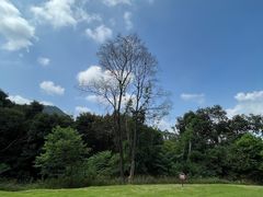 -黄埔油麻山森林公园