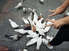 -杭州西湖东坡酒店