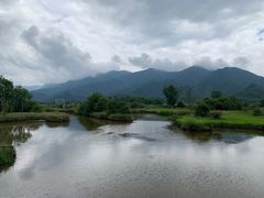 -大九湖
