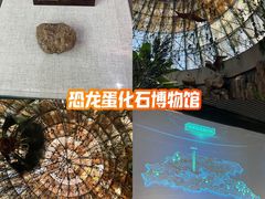 -中国西峡恐龙遗迹园