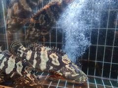 -海铺·渔家虾水饺(皇姑店)