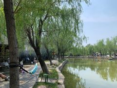 -杨柳青庄园