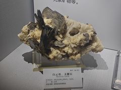 -湖南省地质博物馆