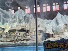 -帝企鹅自助餐厅•儿童岛•真企鹅(长隆企鹅酒店)