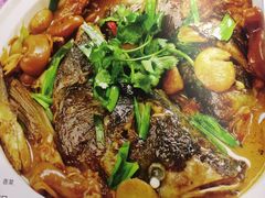 -青叶202都市餐厅(迪诺水镇店)