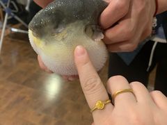 -肆月河豚·新淮扬(金融街店)