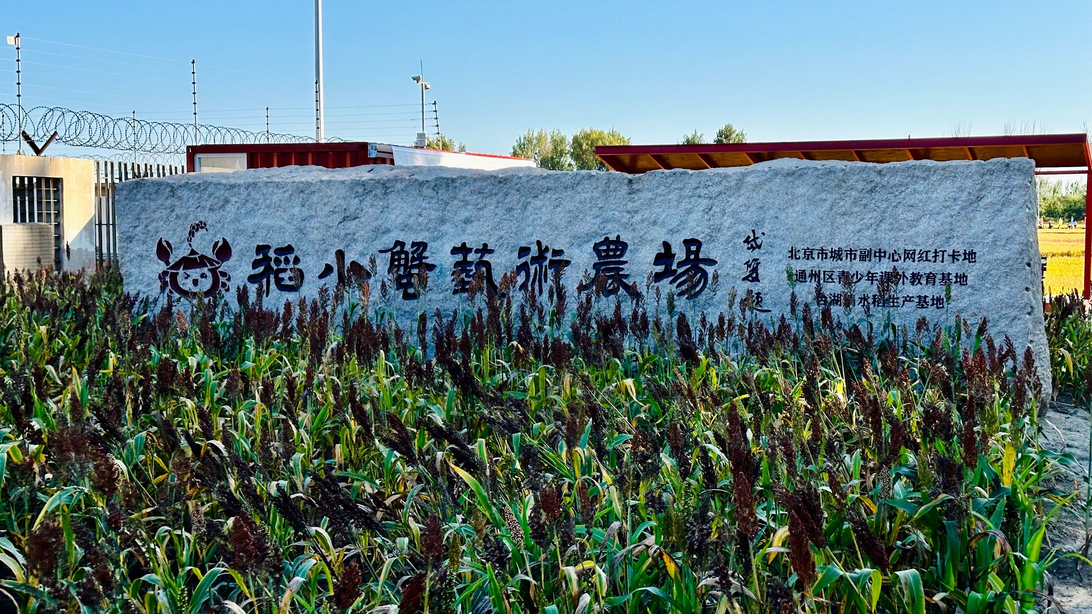 稻小蟹艺术农场一个让孩子体验田园生活和农耕文化的好去处,收获满满
