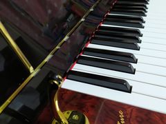 -柏斯音乐艺术中心·钢琴·吉他(世纪金源店)