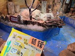 -正佳雨林生态植物园