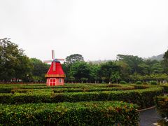 -东莞植物园
