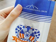 -广州长隆国际大马戏