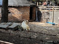 -杭州师范大学(下沙校区)