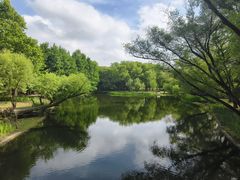 -上海共青森林公园