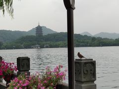 -杭州西湖柳莺里酒店