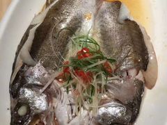 -安天民北方饺子(白石洲店)