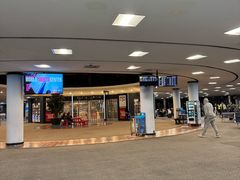 -纽瓦克自由国际机场