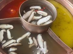 -滇釜火锅·能喝汤的火锅(车公庄店)