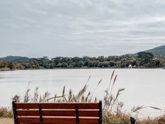 -美的鹭湖森林度假区