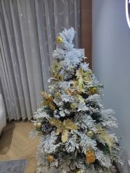 -HEYAN荷妍专业脱毛连锁机构