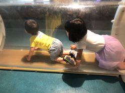 -北京科学中心儿童乐园