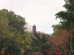 -焦山景区-万佛塔