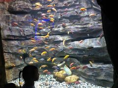 -多彩贵州城极地海洋世界