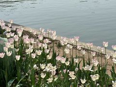-石家庄市植物园